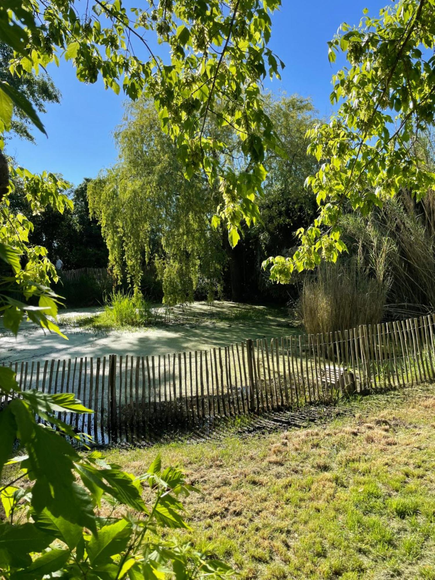 Instant Zen Acomodação com café da manhã Saint-Vivien-de-Médoc Exterior foto
